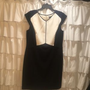 Ann Taylor sleek work Dress